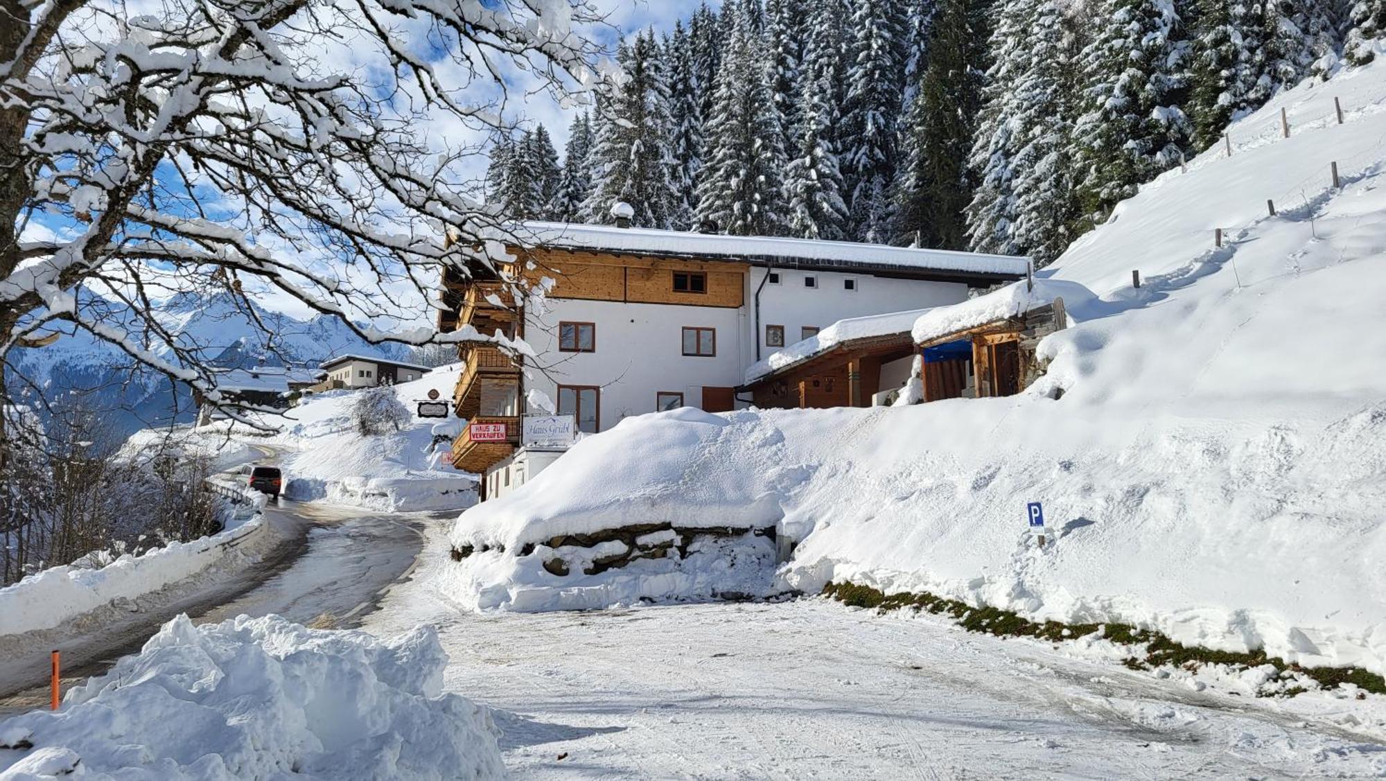 Haus Gruebl Aparthotel Wald im Pinzgau Exterior photo